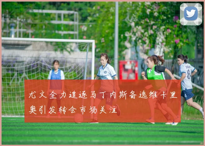 尤文全力追逐马丁内斯备选维卡里奥引发转会市场关注