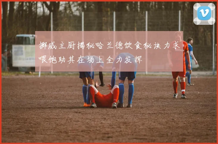 挪威主厨揭秘哈兰德饮食秘诀力求喂饱助其在场上全力发挥