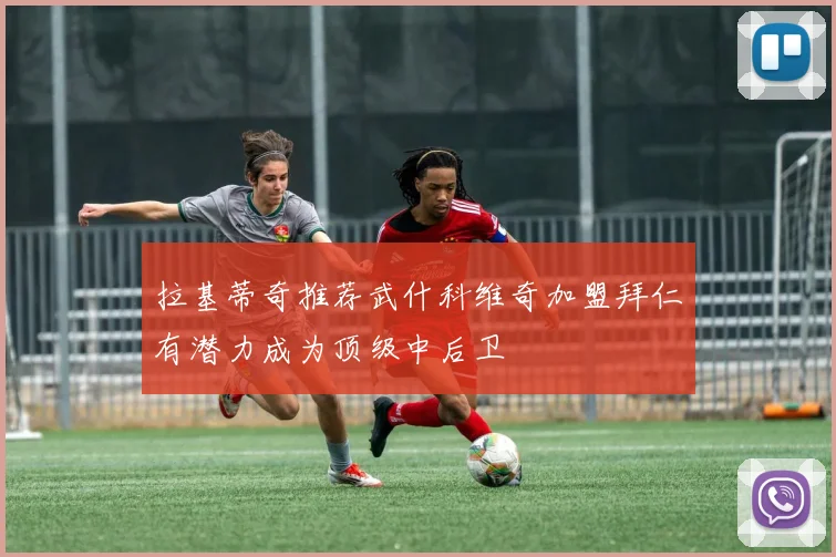 拉基蒂奇推荐武什科维奇加盟拜仁有潜力成为顶级中后卫